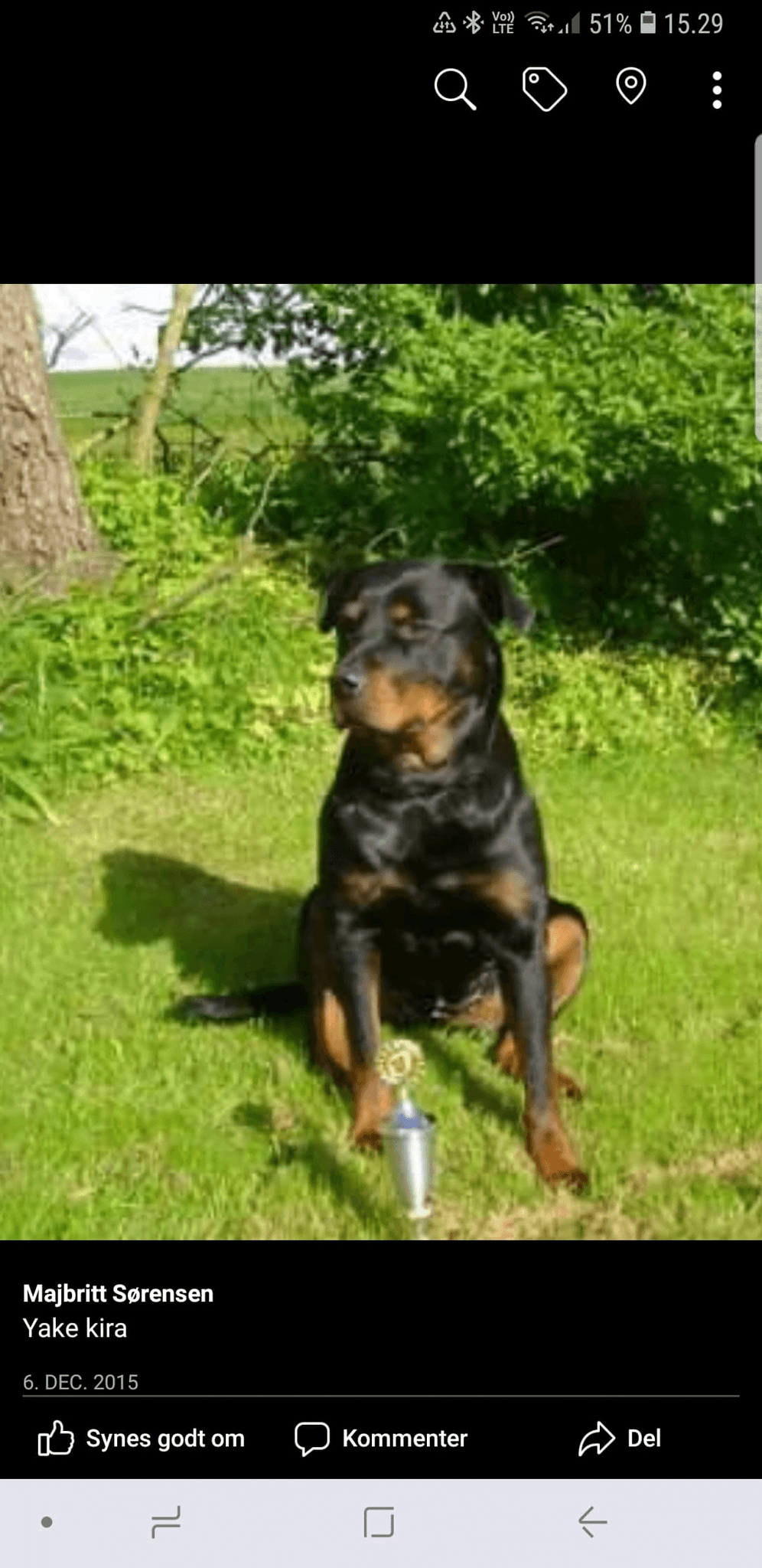Kennel Majrott v/Majbritt Sørensen  