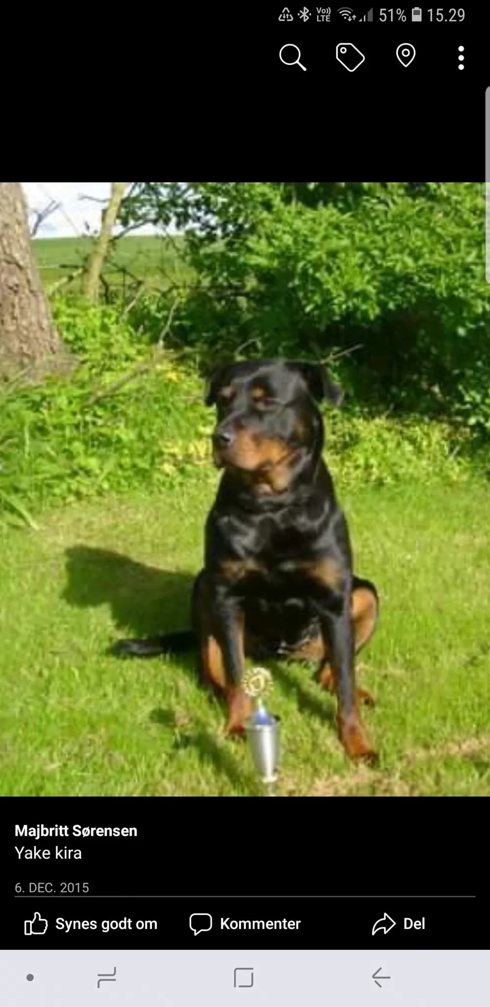 Kennel Majrott v/Majbritt Sørensen  